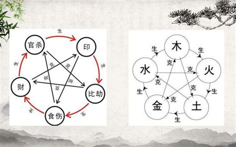 我生者為食傷|十神:定義,初識十神,十神表,生克,功能,正官功能,七殺功。